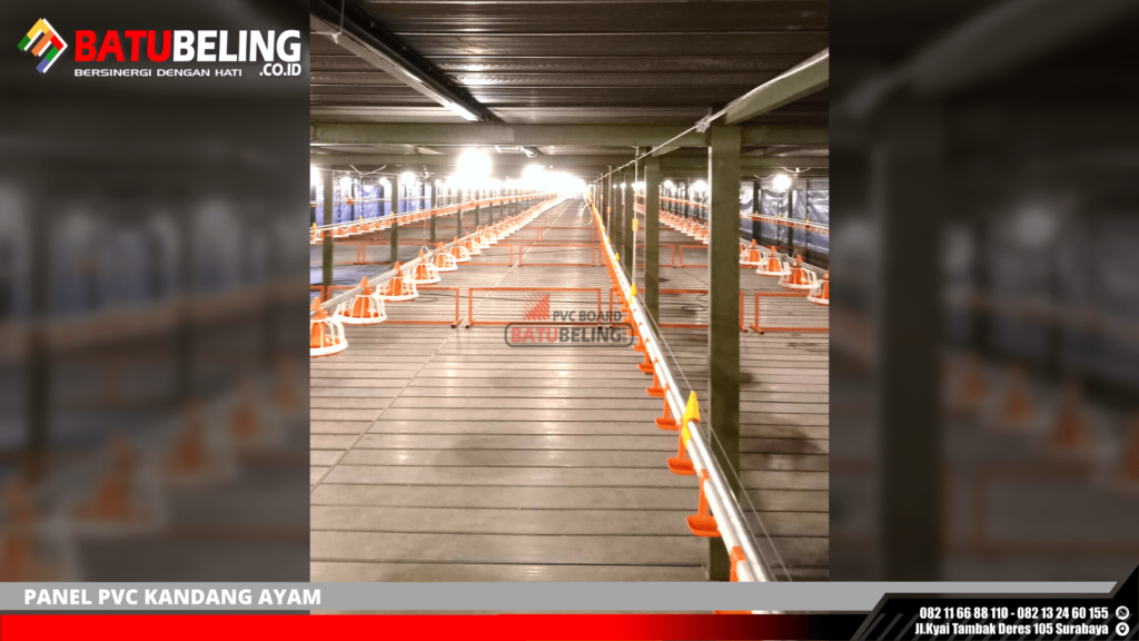 pvc kandang ayam magelang